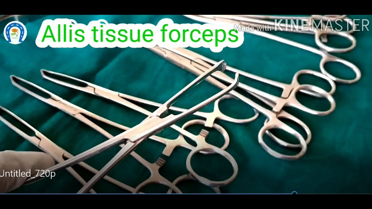 Vet Basics ll Basic Surgical Instruments in  General Surgical Pack