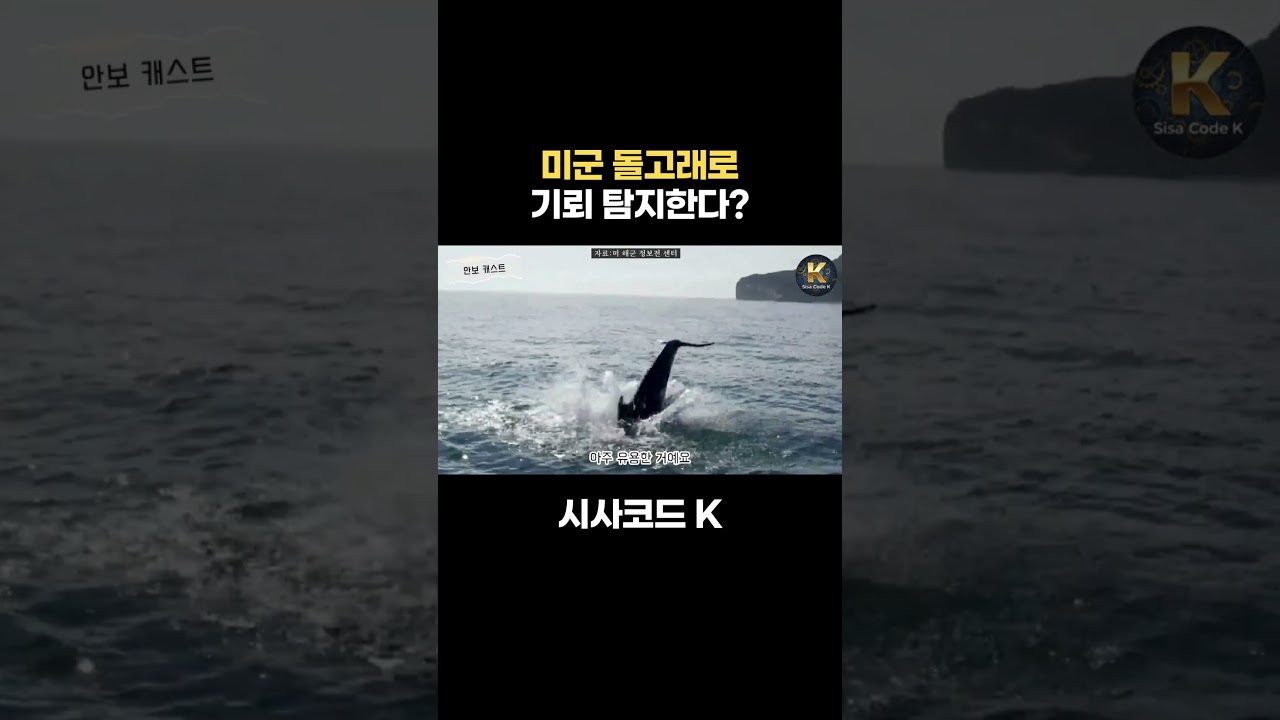 미군 돌고래로 기뢰 탐지한다?