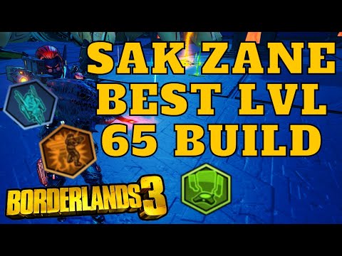 *BEST* LVL 65 SAK ZANE BUILD BORDERLANDS 3 *USE ALL ACTION SKILLS AND ANOINTMENTS*