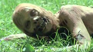 The Walking Dead   Bicycle Girl Scene
