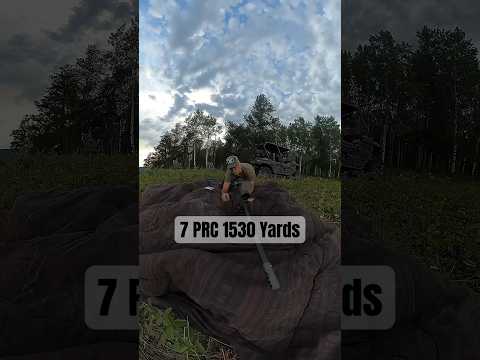 The NEW Fierce Rogue Review: This thing is a home run!