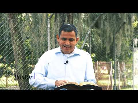 Miqueas 1 | Un mensaje de Dios para ti | Estudiando la Biblia