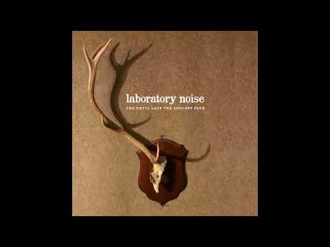 Laboratory Noise - Collider