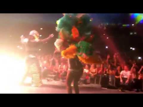 Dj coms feat Mister Adryano Daddy Yankee 1ère partie Zénith de Toulouse le 29 Mai 2014