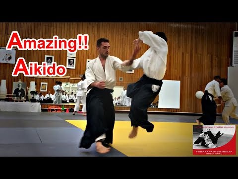 Amazing Aikido in Greece - Shirakawa Ryuji shihan
