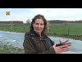 De open ruimte tussen Tilburg en Berkel-Enschot groeit steeds verder dicht, zegt Irma de Potter v...