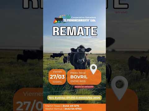 Remate de hacienda Bovril 27-03-2026 | Coop. Ganadera El Pronunciamiento