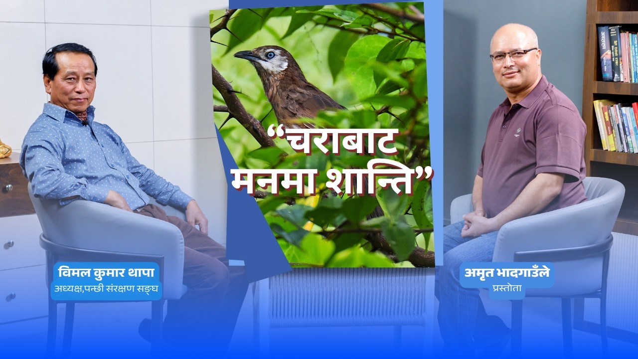 Vimal Thapa Interview 2 (May, 2026)