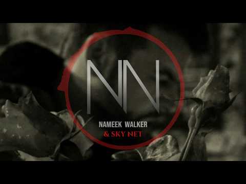 Sky Net feat. Nameek - Unexpected Childhood (official audio)