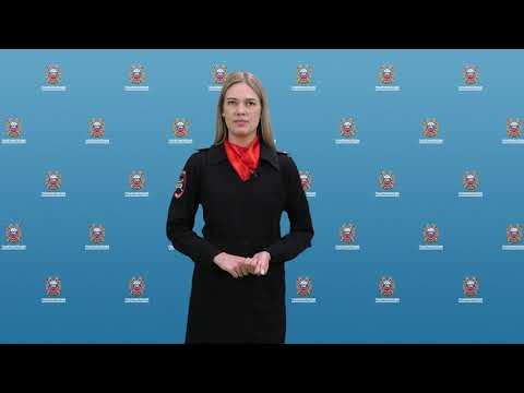 Сводка происшествий / 15.04.2024