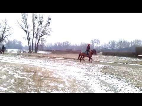 Freudenau 23.01.2016