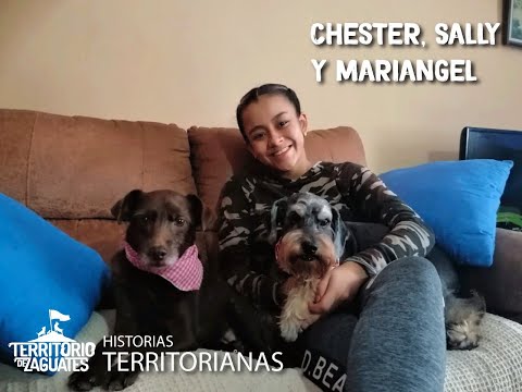 Chester, Sally y Mariangel