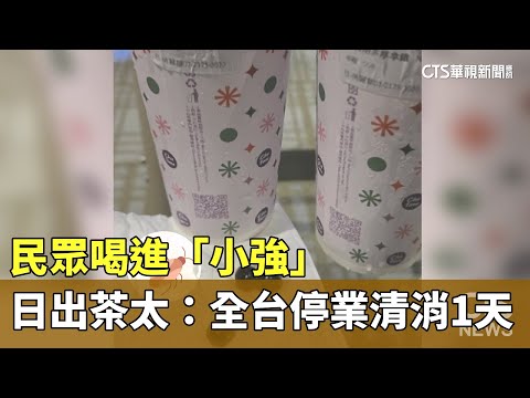 民眾喝進「小強」　日出茶太：全台停業清消1天