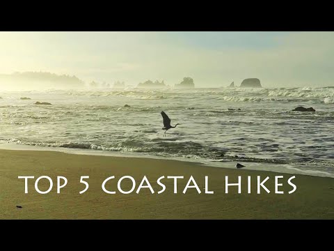 TOP 5 Olympic National Park Coastal Hikes