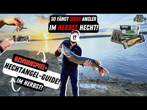 Hecht-Guide im Herbst 🎣 | Hechtangeln im Herbst | Beste Hechtköder Barschköder| Nays | Westin