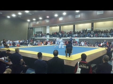 Preliminary rounds Seniors kumite tournament @ the 30th European kyokushin championships