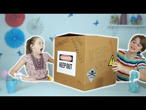 Shiloh's Announcement!