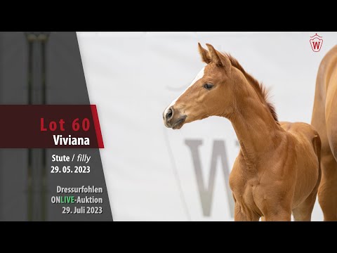 ONLIVE-AUKTION Lot 60 Viviana Stute v. Fanegro - Fürst Nymphenburg