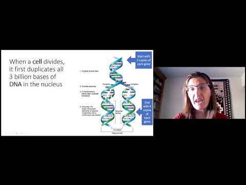 2020 Virtual Summer Conference: Genetik für Anfänger by Dr. Christina Laukaitis | German (DE)