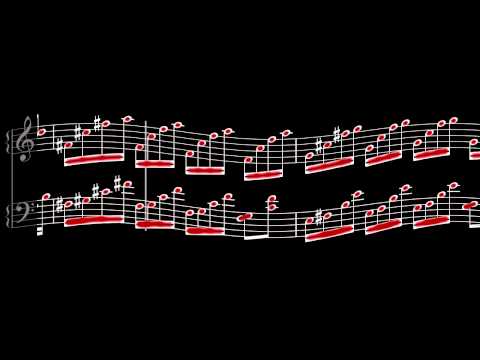 Toccatino - Marimba Duet by Nathan Shirley