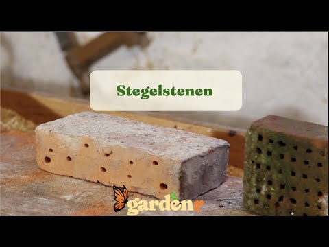 Stegelstenen - Trädgårdshacks med GardenR
