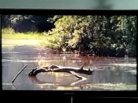 Viasat NATURE HD, HISTORY HD  promo