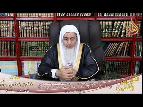 هل قتل الحجاج سعيد ابن جبير ؟ الشيخ مصطفي العدوي