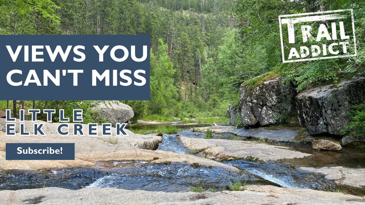 Little Elk Creek Trail (Piedmont, SD) Perfect trail for dogs and families close to town!