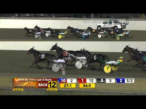 Meadowlands February 27, 2016 - Race 12 - Jungle of Terror