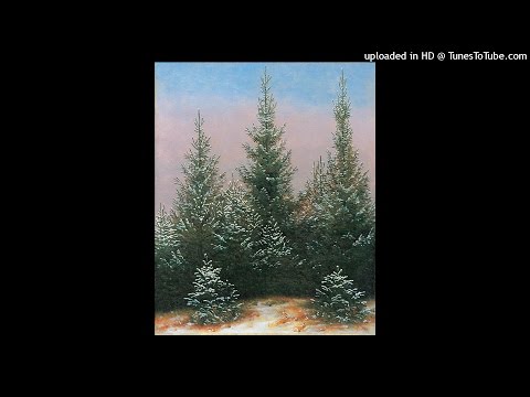 Friedrich Güll: DER ERSTE SCHNEE (Gedicht zum Winter)