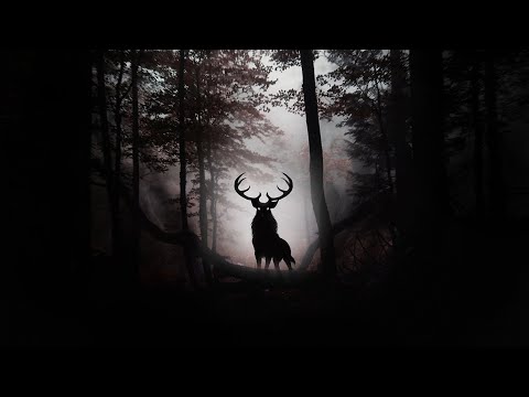 Welon - Forest (Ultrasonic - Spooky EDM .REMIX by Welon )