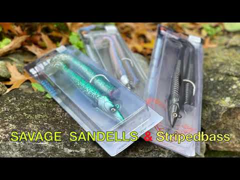 Sandeel striped bass fishing by Savage Gear.  The most versatile soft plastic lure.