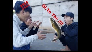 preview picture of video 'Vlog#2 | Cá Lóc Nướng Đồng Ruộng | Grilled fish in the field | PTN Vlogs'