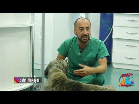 Patinin Hikayesi 56. Bölüm 1. Kısım