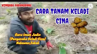 Download lagu 'Cara tanam Keladi Cina' mp3 Download lagu 'Cara tanam Keladi Cina' mp3
