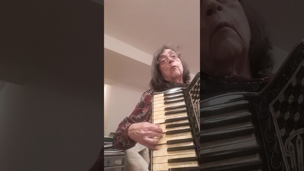 Promotional video thumbnail 3 for DonnaAccordionna