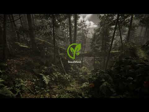 Mossy Forest Path - Unity 6 - Speed level design