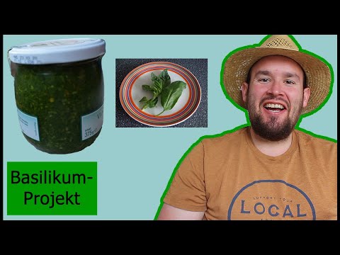 Verarbeitungsideen für Basilikum?: Das Basilikum-Projekt | Flol