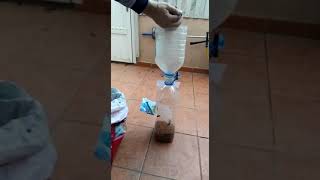 Comedero automático de colonias de gatos