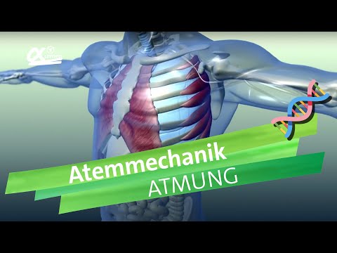 Aufladen für die Brustwirbelsäule in Skoliose Splint für Ellenbogen