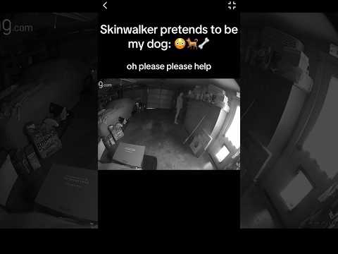 Skinwalker DISGUISED as DOG 🐕😳