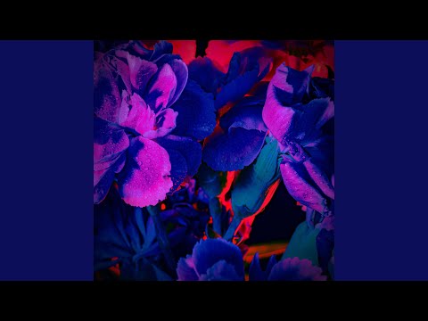 Got It Good (feat. Ty Lewis)