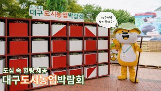 제10회 대구도시농업박람회 관련사진