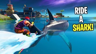 How to RIDE A SHARK IN FORTNITE! (EASY METHOD) (SEASON 3)