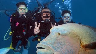 Great Adventures Outer Reef Cruise