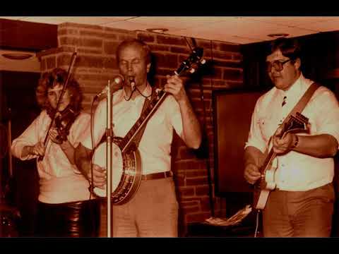 Sandra Ozolīte - Dzenis