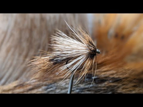 Fly tying-Dry fly with #12 hook