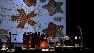 Björk - Live at Royal Opera House (4K Upscaled) - 12.It&#39;s Not Up to You