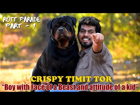 download lagu mp3 mp4 Noon Show Time In Kerala, download lagu Noon Show Time In Kerala gratis, unduh video klip Noon Show Time In Kerala