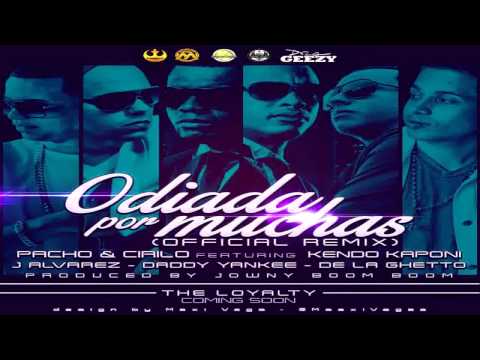 Odiada por muchas Remix !!